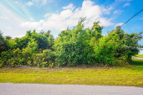 Land in Port Charlotte, Florida № 2161622 - photo 9