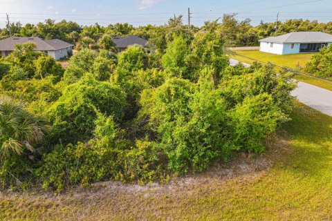 Land in Port Charlotte, Florida № 2161622 - photo 13