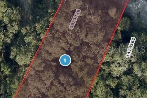 Terreno en Lady Lake, Florida № 2218492