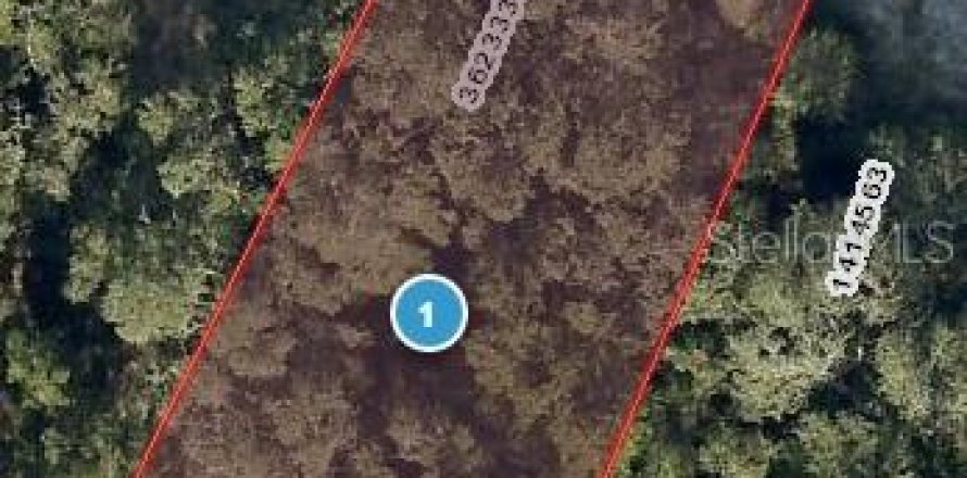 Terreno en Lady Lake, Florida № 2218492