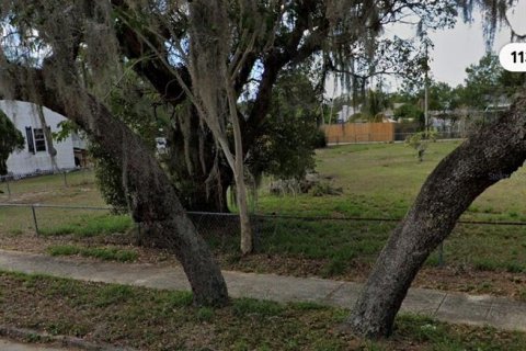 Land in Sebring, Florida № 2161428 - photo 3