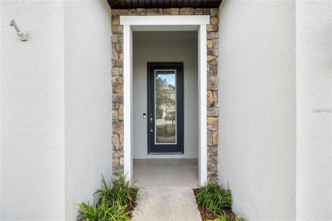 Casa en alquiler en Wesley Chapel, Florida, 5 dormitorios, 304.16 m2 № 1917522 - foto 4