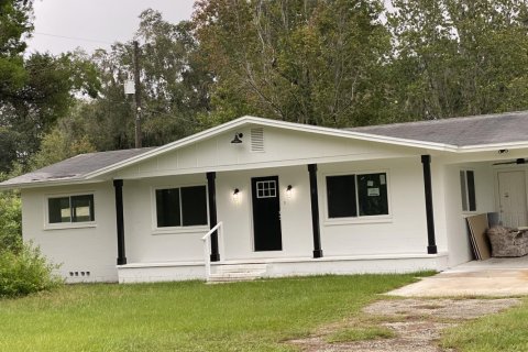 Immobilier commercial à vendre à Hawthorne, Floride № 824655 - photo 1