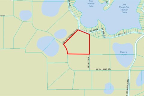 Terreno en venta en Ocklawaha, Florida № 651598 - foto 2