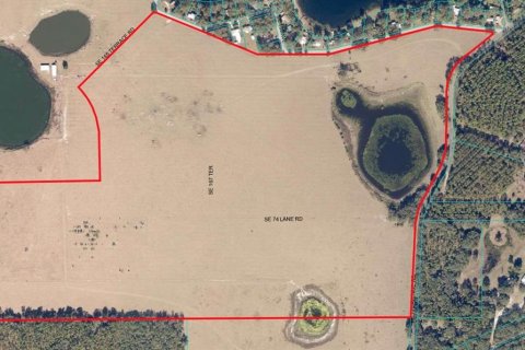Terreno en venta en Ocklawaha, Florida № 651598 - foto 1