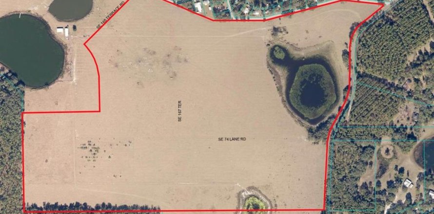 Land in Ocklawaha, Florida № 651598