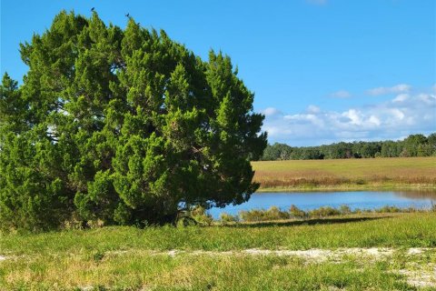 Terreno en venta en Ocklawaha, Florida № 651598 - foto 11
