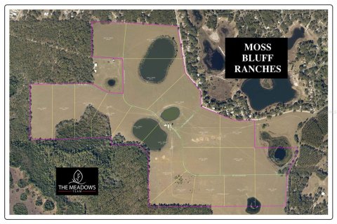 Terreno en venta en Ocklawaha, Florida № 651598 - foto 4