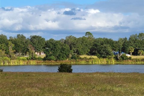 Terreno en venta en Ocklawaha, Florida № 651598 - foto 18
