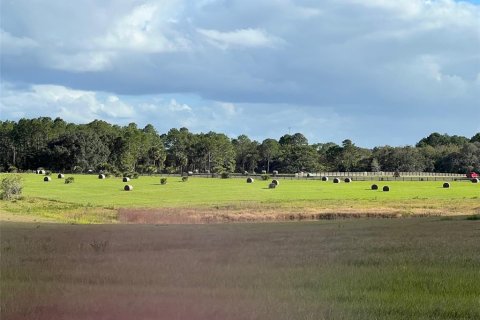 Terreno en venta en Ocklawaha, Florida № 651598 - foto 29
