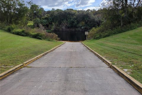 Terreno en venta en Ocklawaha, Florida № 651598 - foto 5