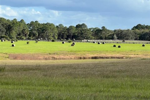 Terreno en venta en Ocklawaha, Florida № 651598 - foto 30