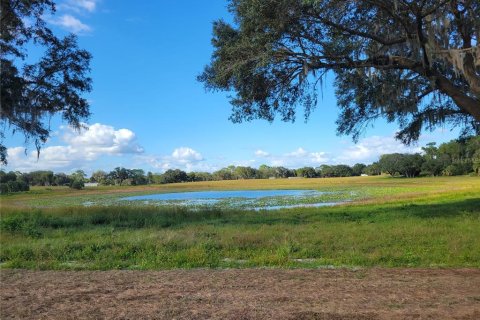 Terreno en venta en Ocklawaha, Florida № 651598 - foto 9
