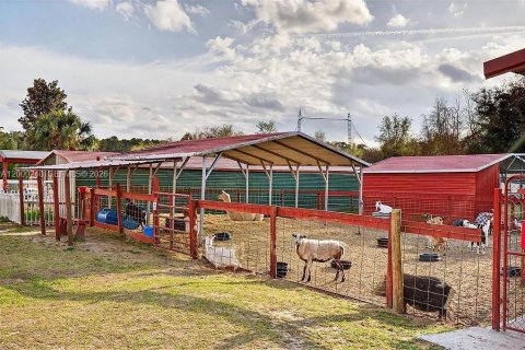 Propiedad comercial en venta en Ocala, Florida № 2153821 - foto 11