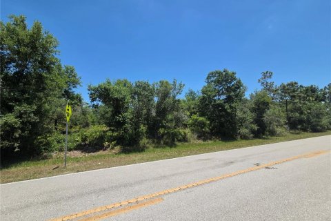 Land in Punta Gorda, Florida № 2161773 - photo 4