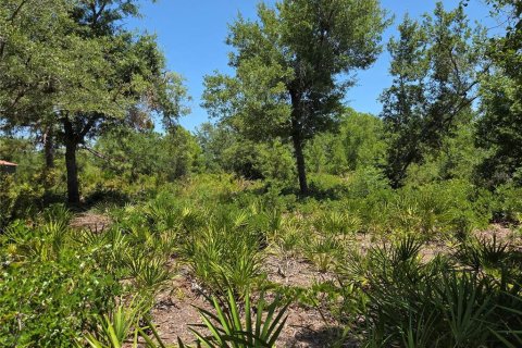 Land in Punta Gorda, Florida № 2161773