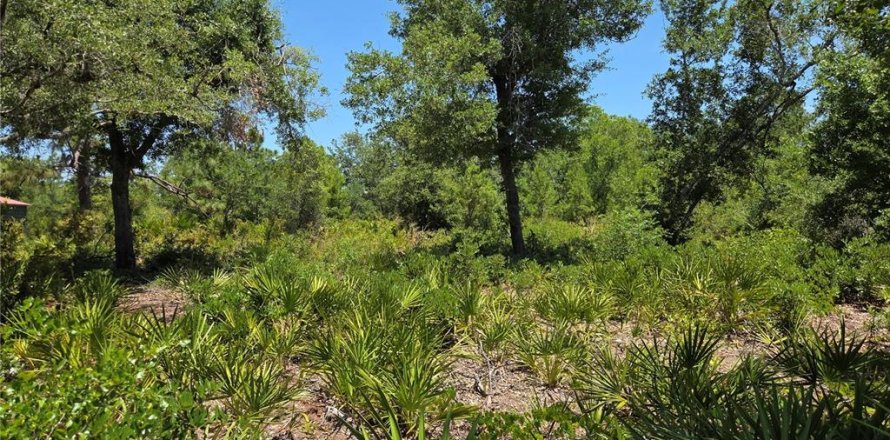 Land in Punta Gorda, Florida № 2161773