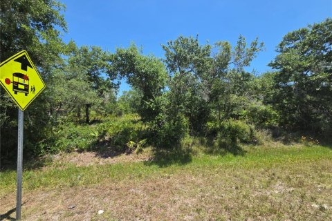 Land in Punta Gorda, Florida № 2161773 - photo 3