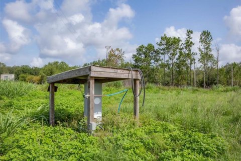 Land in Myakka City, Florida № 1782913 - photo 20
