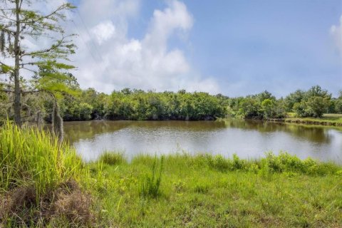 Land in Myakka City, Florida № 1782913 - photo 21