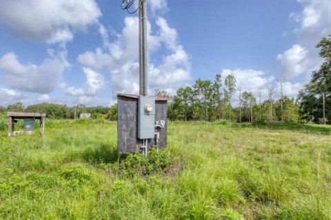 Land in Myakka City, Florida № 1782913 - photo 19