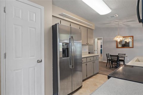 Villa ou maison à vendre à Inverness, Floride: 3 chambres, 120.59 m2 № 2092966 - photo 16