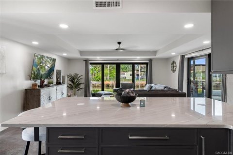 House in Crystal River, Florida 2 bedrooms, 204.38 sq.m. № 1765529 - photo 17