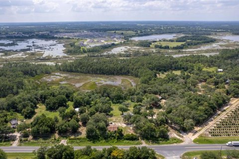 Land in Groveland, Florida № 1688282 - photo 8