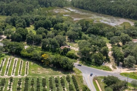 Land in Groveland, Florida № 1688282 - photo 4