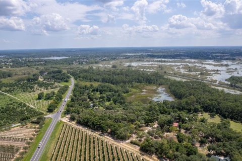 Land in Groveland, Florida № 1688282 - photo 6