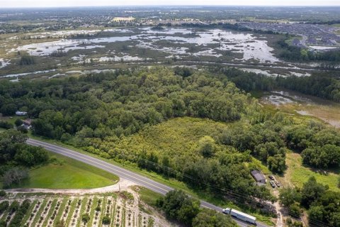 Land in Groveland, Florida № 1688282 - photo 9