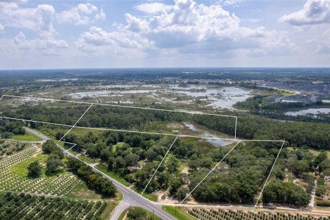 Land in Groveland, Florida № 1688282 - photo 2