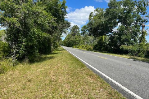 Land in Dunnellon, Florida № 1152699 - photo 7