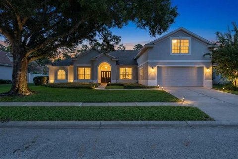 Casa en Mount Dora, Florida 3 dormitorios, 289.58 m2 № 2384347