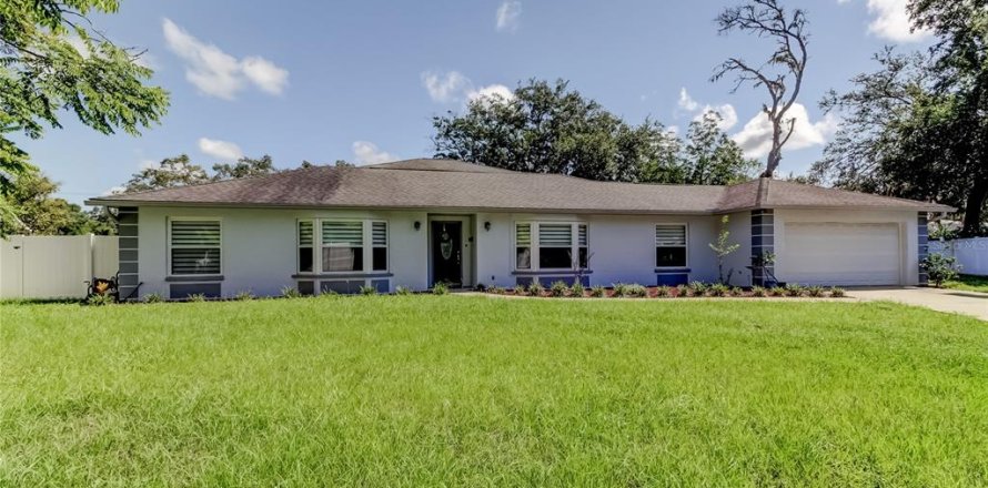 House in Lutz, Florida 4 bedrooms, 218.69 sq.m. № 1803469