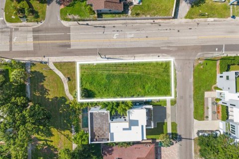 Land in Tampa, Florida № 1893662 - photo 7