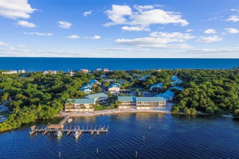 House in Islamorada, Village of Islands, Florida 2 bedrooms, 126.81 sq.m. № 1953305 - photo 29