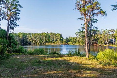 Land in Tampa, Florida № 1635804 - photo 5