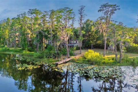 Land in Tampa, Florida № 1635804 - photo 4