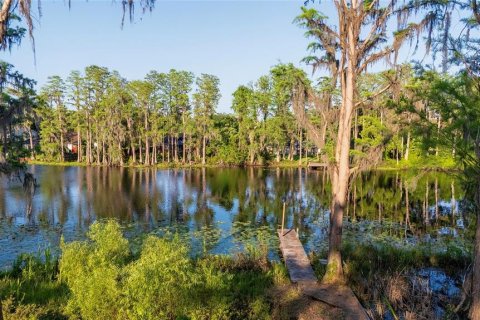 Land in Tampa, Florida № 1635804 - photo 7