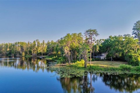 Land in Tampa, Florida № 1635804 - photo 13