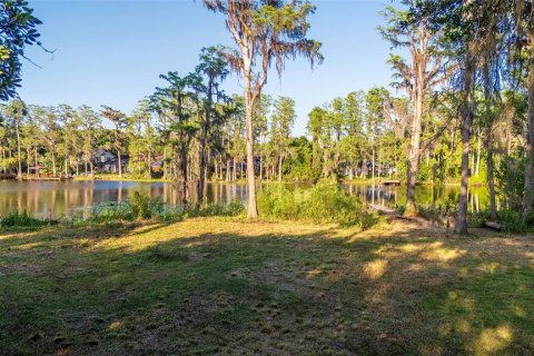 Land in Tampa, Florida № 1635804 - photo 9