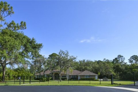 Casa en venta en Tavares, Florida, 4 dormitorios, 240.43 m2 № 1670038 - foto 1