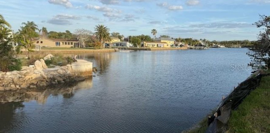 Terrain à Port Richey, Floride № 2206086