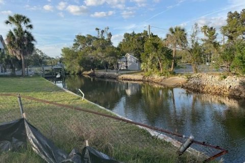 Terrain à vendre à Port Richey, Floride № 2206086 - photo 6