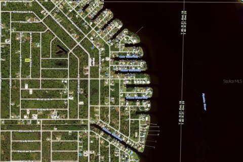 Land in Port Charlotte, Florida № 2211681 - photo 3