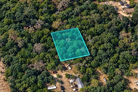 Terreno en Mount Dora, Florida № 2395566