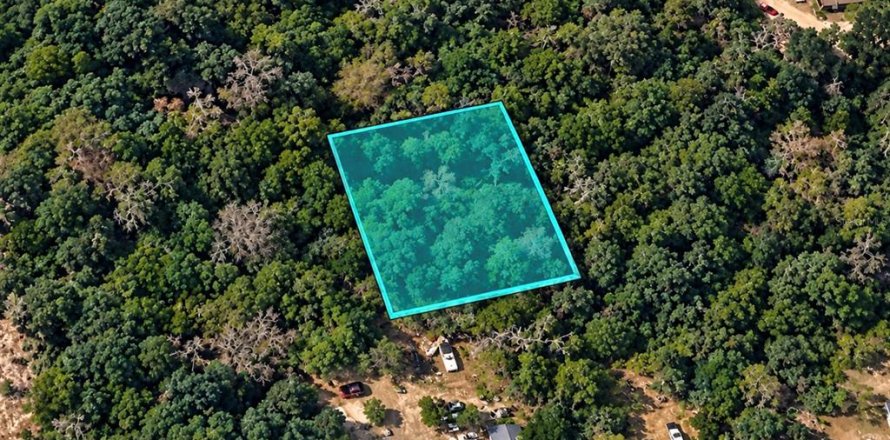 Terreno en Mount Dora, Florida № 2395566
