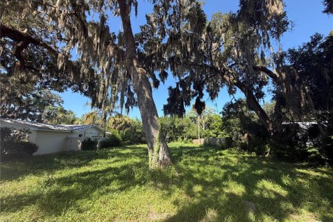 Terrain à New Smyrna Beach, Floride № 2136087