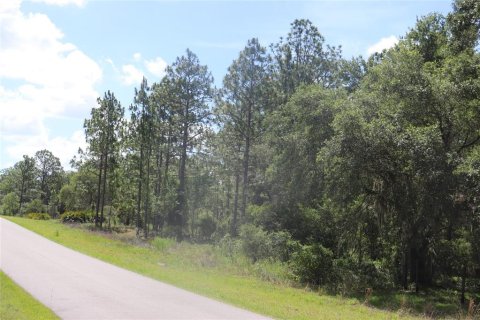 Land in Dunnellon, Florida № 2159549 - photo 4